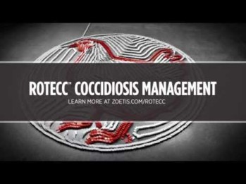 Rotecc™ coccidiosis management video