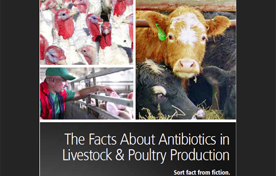 Facts About Antibiotics In Livestock