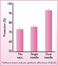 Studies demonstrate the benefits of dual-needle in ovo vaccine delivery