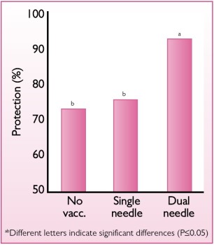 Fig. 1. Level of protection against Marek’s disease with the dual- and single-needle injection systems.