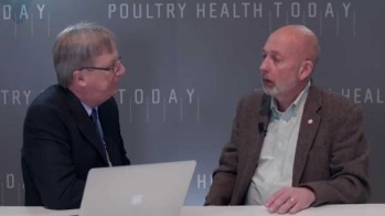 Defining, and demonstrating, sustainability in the poultry industry