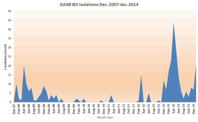 Figure 1.  GA 08 IBV isolations, December 2007 to January 2014