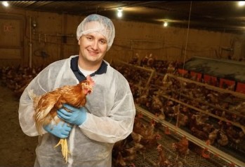 ‘Vets on Call’ video series visits major US egg producer
