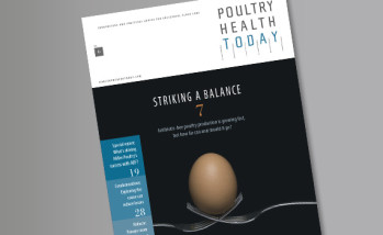 Poultry Health Today Issue 6