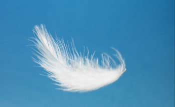White feather in blue sky