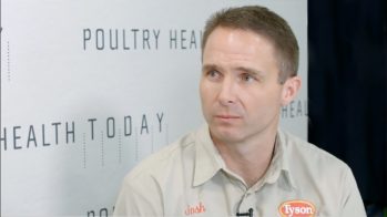 Sanitation is the key to success when a hatchery completely removes antibiotics from its process, Josh Mulkey told Poultry Health Today.