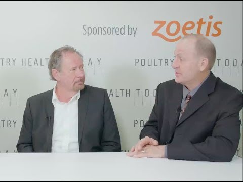 Teaming With Poultry Companies To Ensure Carcass Quality And Food Safety Full Interview