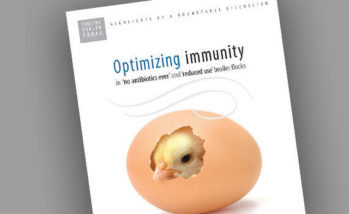 Specialists share tips for optimizing immunity in ‘no antibiotics ever’ and ‘reduced use’ broiler flocks