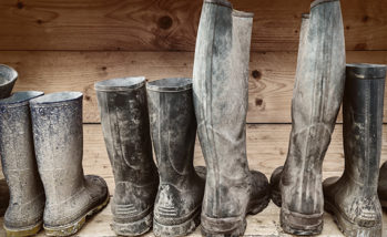 Study shows how unchanged boots disrupt biosecurity