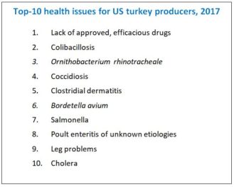 Lack of approved medications continues to stymie welfare-minded turkey producers