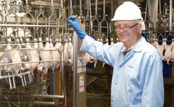 Integrated plan with live production needed to meet new Salmonella standards
