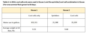 Cooling chickens with sprinklers has multiple benefits