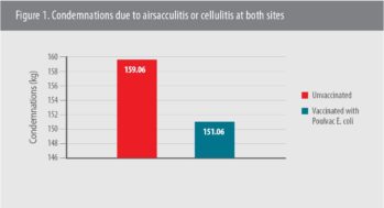 Vaccination with Poulvac® E. coli yields economic benefits in broilers