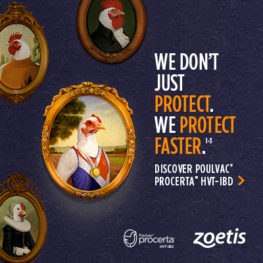 Zoetis expands vector vaccine portfolio with introduction of Poulvac® Procerta™ HVT-IBD