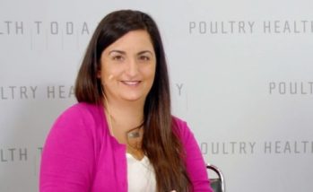 Improving Salmonella surveillance in turkeys