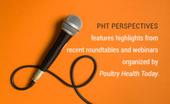 PHT Perspectives