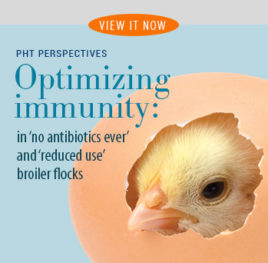 PHT Perspectives Optimizing immunity